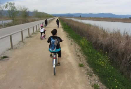 12:00h. Ruta en bicicleta (10km) alrededor de la laguna de la Tancada.