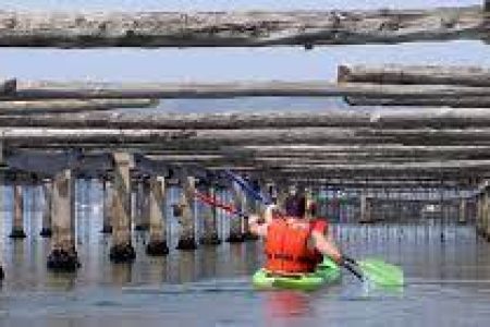 Programme E: MónNatura Delta + Kayak aux élevage de moules