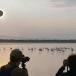 ECLPISE SOLAR FLAMENCOS DELTA DEL EBRO