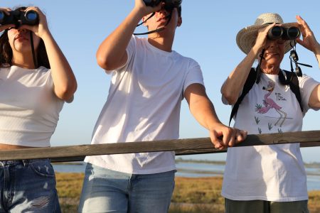 RV – Arrozales y flamencos en el Delta del Ebro: tour en la reserva natural de Riet Vell
