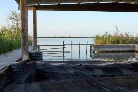 La tardor al Delta de l’Ebre: 3 experiències per descobrir-lo