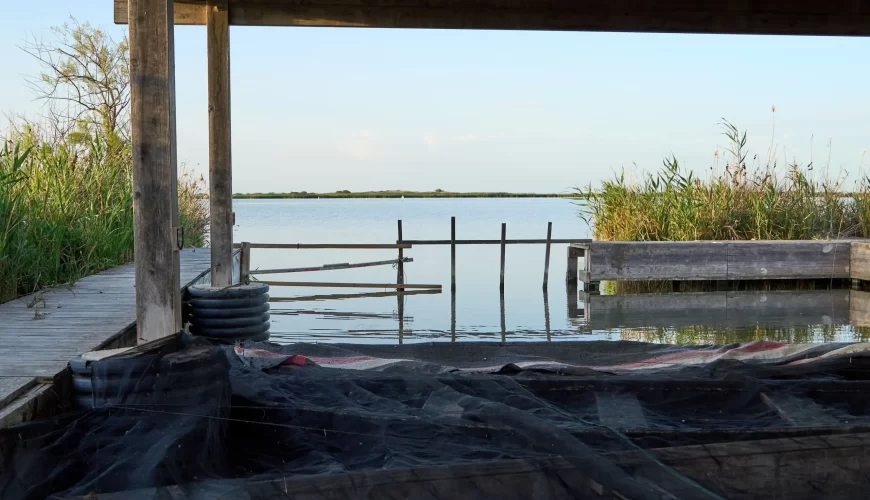La tardor al Delta de l’Ebre: 3 experiències per descobrir-lo